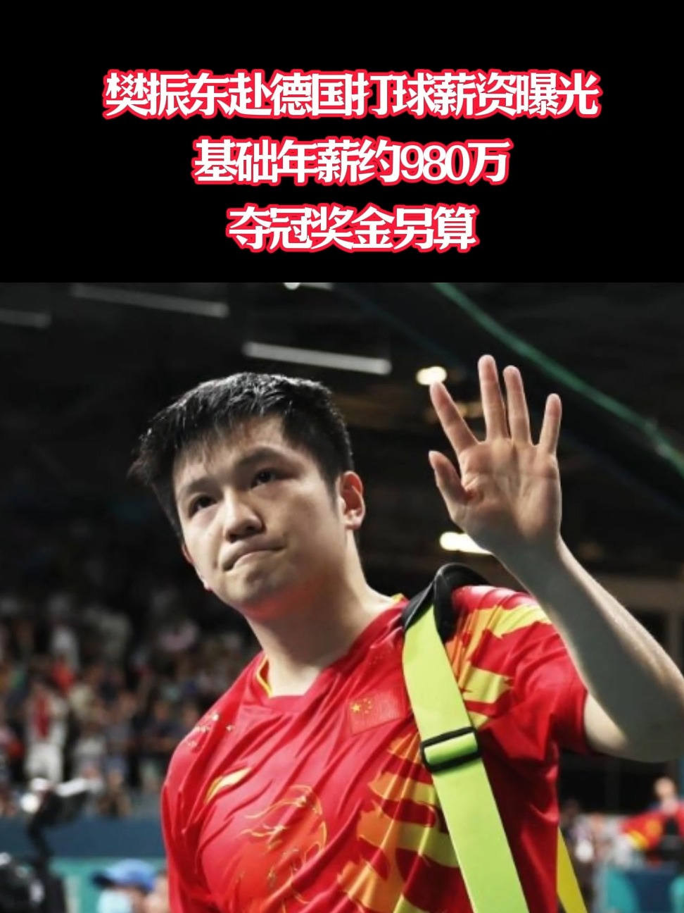 体育中国-韩国乒乓球队强势德国乒乓球队,樊振东送出助攻的简单介绍