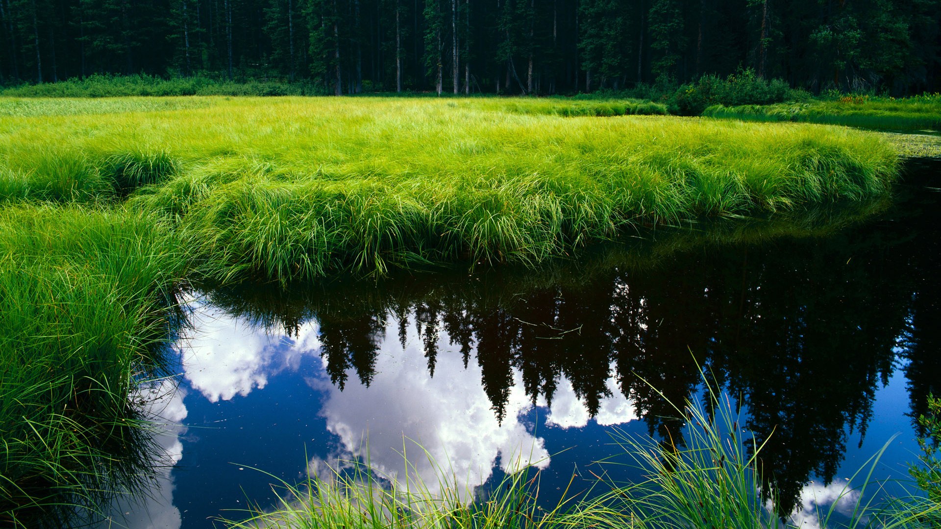 开云sport-判决时刻,黄喜灿的幽灵进球与法兰西的窒息胜利