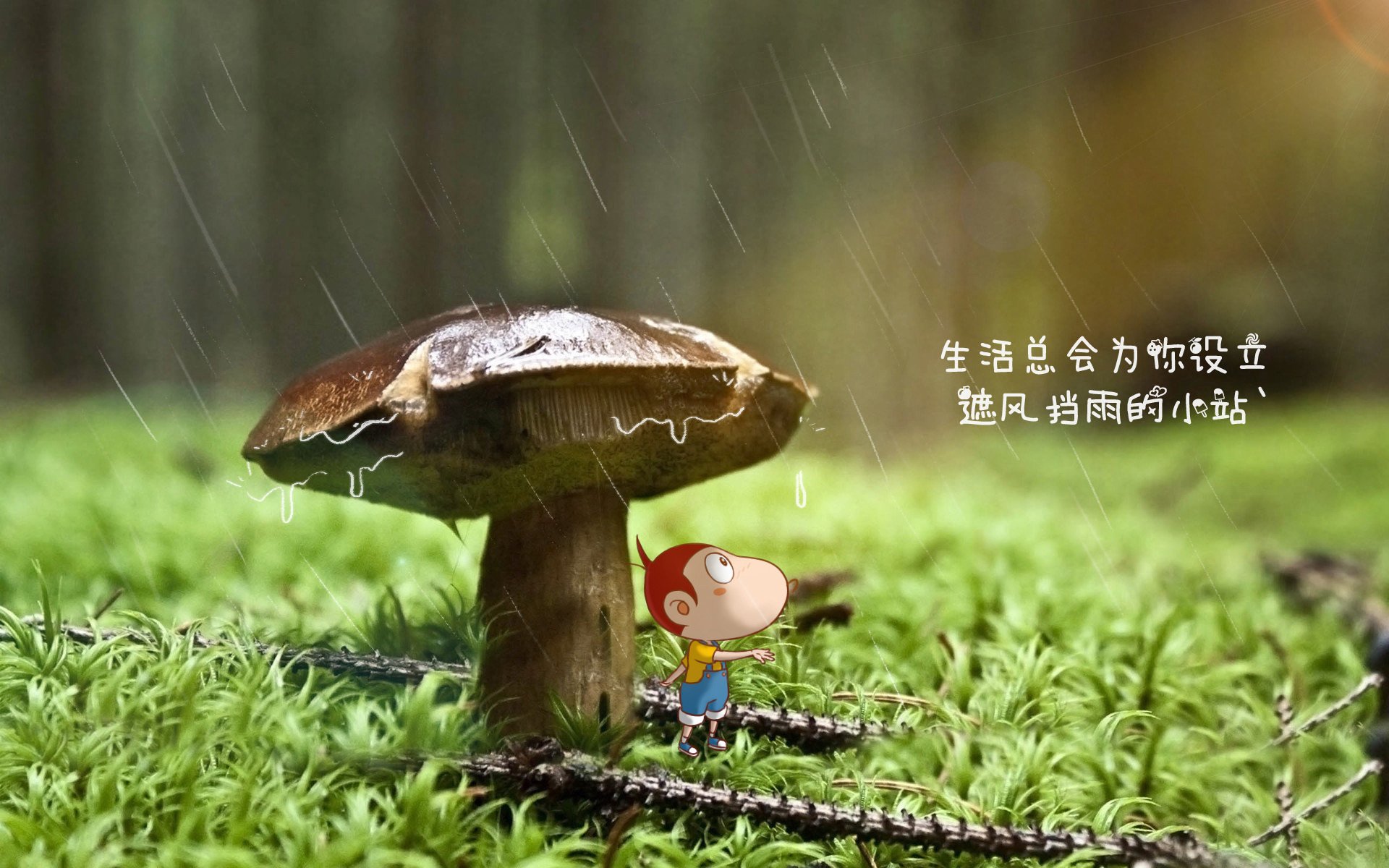 开云-命运的交错，2026世界杯小组赛，喀麦隆碾压罗马尼亚，莫德里奇独自奏响的节奏史诗