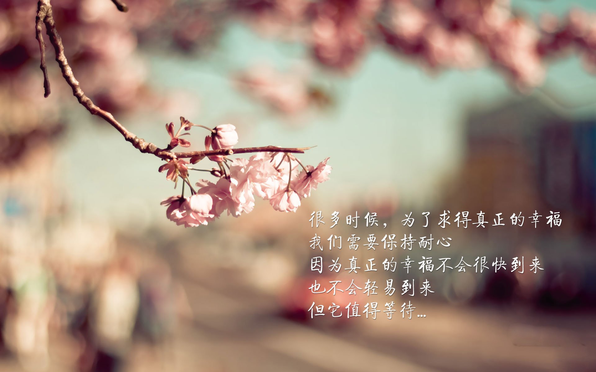 -扩展与选择